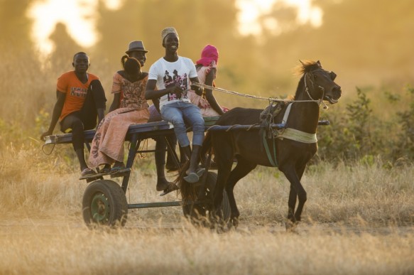 Met paard en kar als vervoermiddel te Senegal.