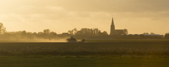 Het platteland in de Meetjeslandse polders.