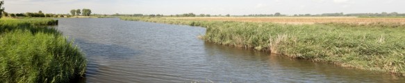 Otheense kreek
