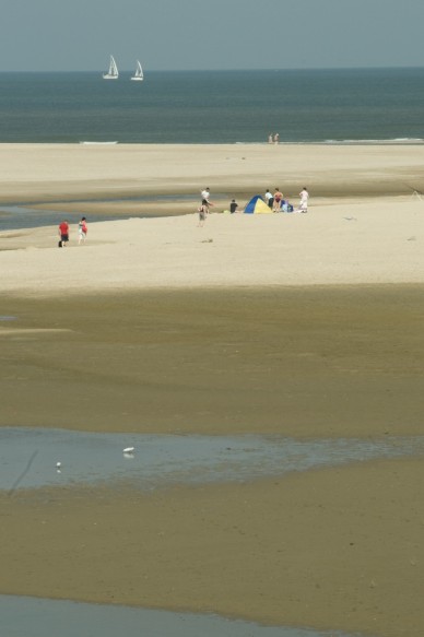 Het Zwin