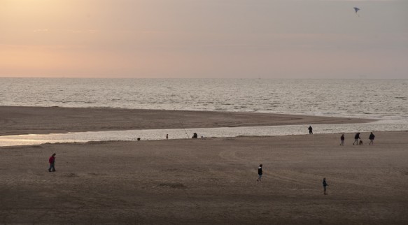 Het Zwin