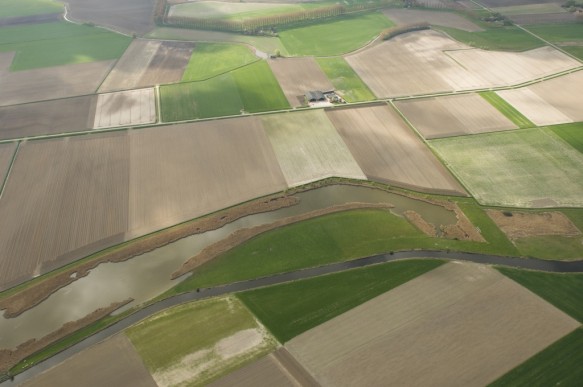 Vlaamse kreek