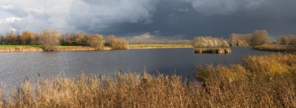 Blokkreek