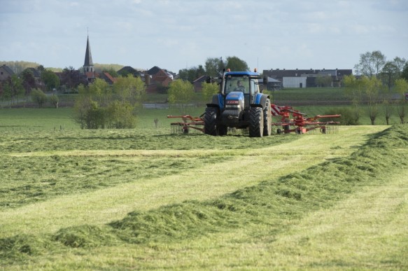 Gras maaien