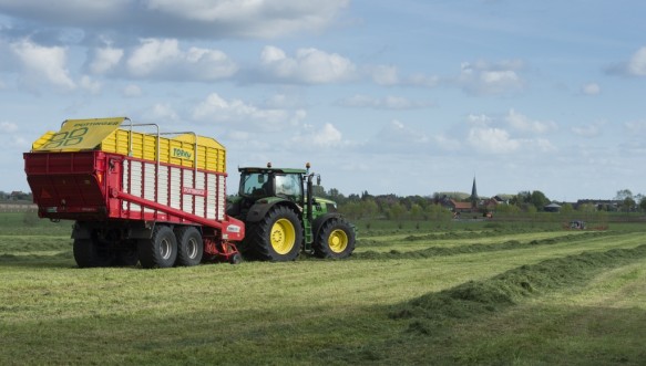 Gras maaien