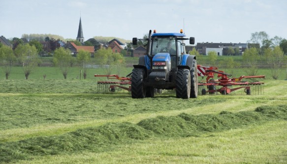 Gras maaien