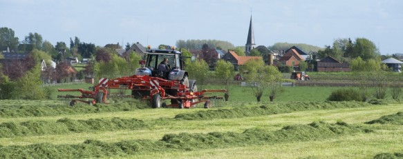 Gras maaien