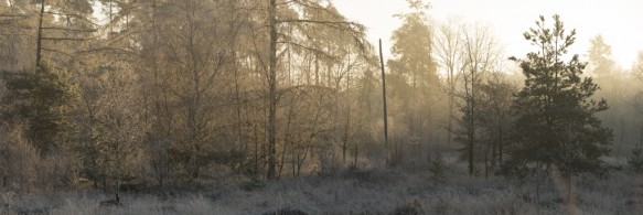 Maldegemveld
