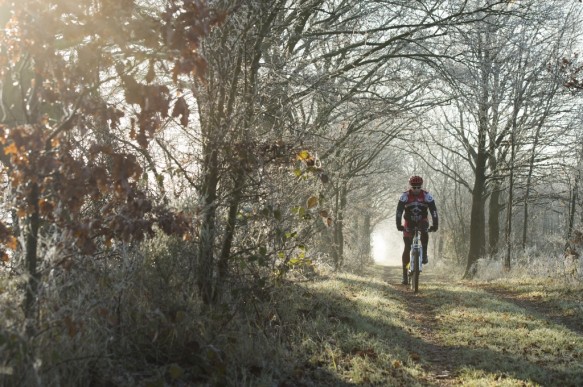 Fietsen in het bos