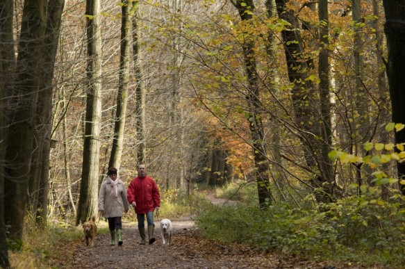Wandelaars