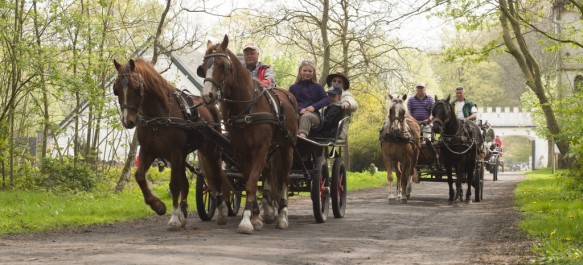 Op stap met paard en koets.