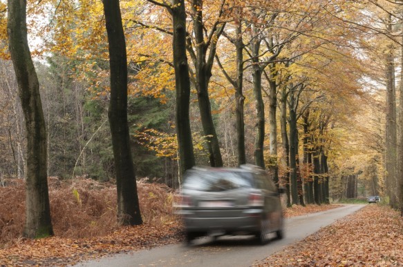 Drongengoedweg.