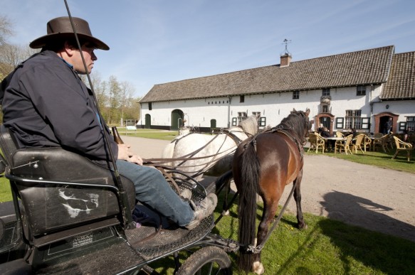 Op stap met paard en koets.