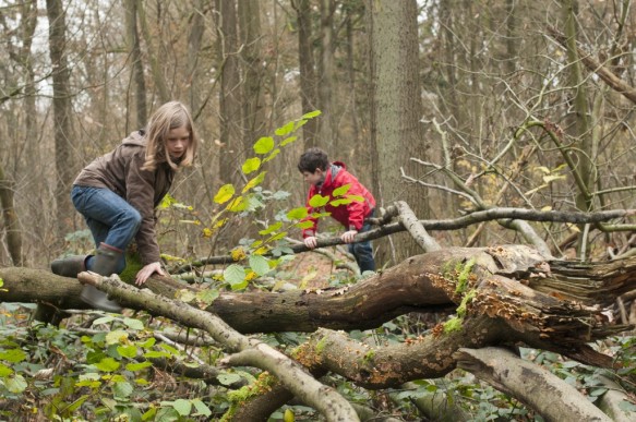 Kinderen in de natuur