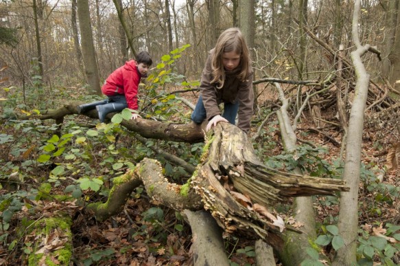 Kinderen in de natuur