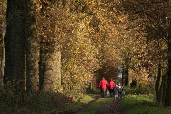 Wandelaars