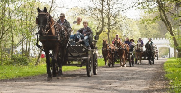 Op stap met paard en koets.