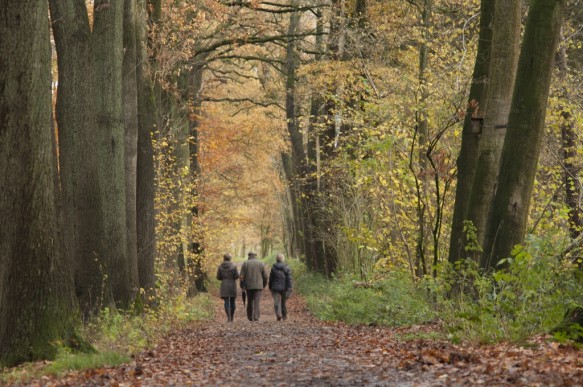 Wandelaars