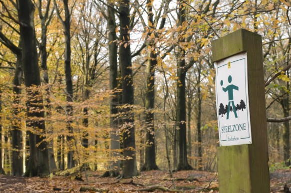 Speelbos