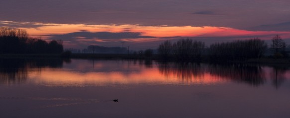 Hollandersgatkreek