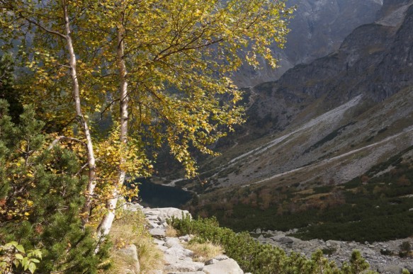 Tatra-gebergte