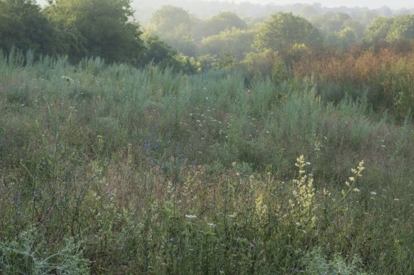 Bulgarije Rusenskii Lom natuurgebied