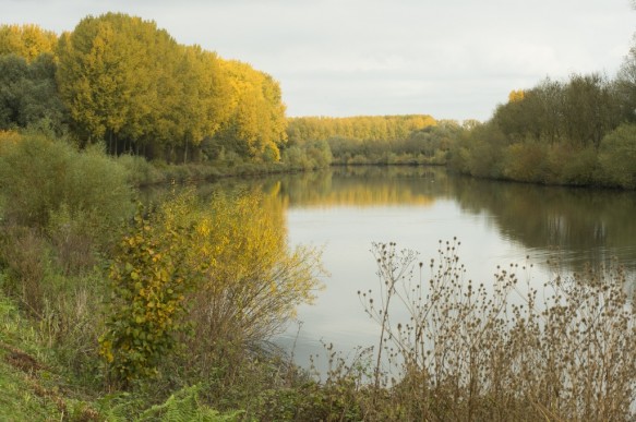 Bovenschelde