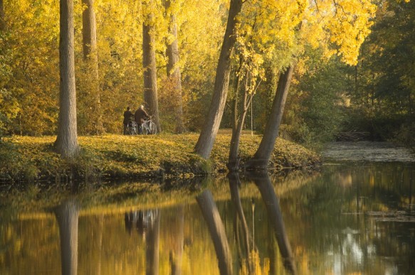 Oude scheldearm te Zevergem.