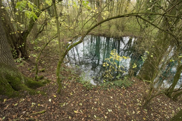 Scheldevallei in de omgeving van de bron.