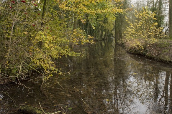 Bron van de Schelde