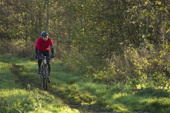 Fietsen langs de Schelde