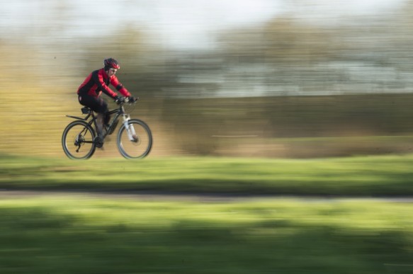 Fietsen langs de Schelde