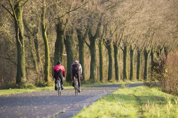 Fietsen langs de Schelde.