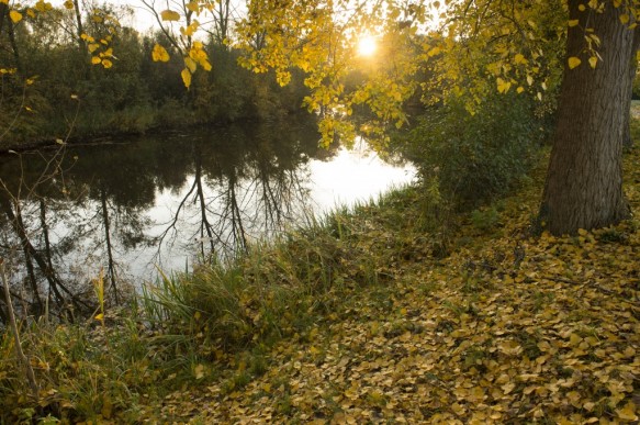 Oude scheldearm te Zevergem.