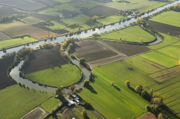 Avelgemse Scheldemeersen