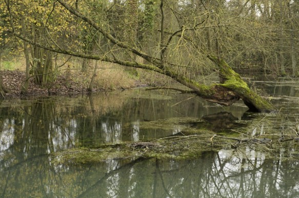Scheldevallei in de omgeving van de bron.