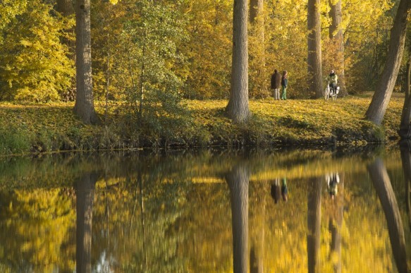 Oude scheldearm te Zevergem.