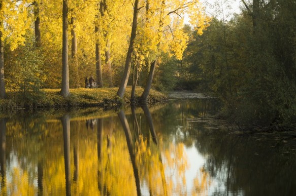 Oude scheldearm te Zevergem.