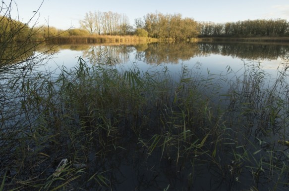 Bovenschelde