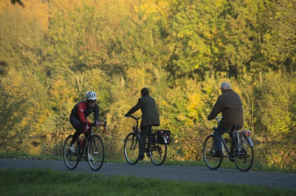 Fietsen langs de Bovenschelde.