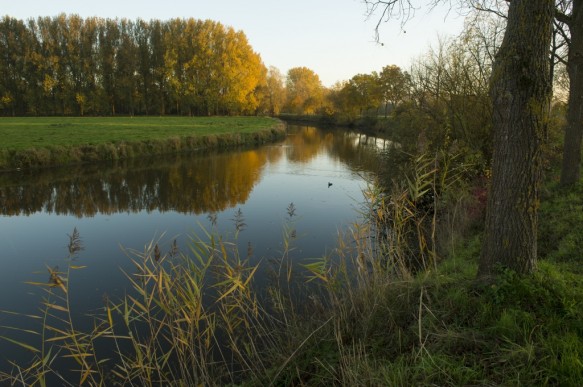 Scheldearm te Zevergem.