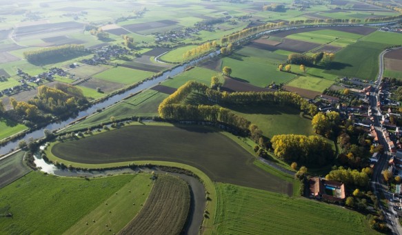 Avelgemse Scheldemeersen.