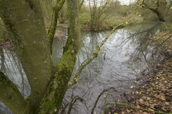 Omgeving van de bron van de Schelde.
