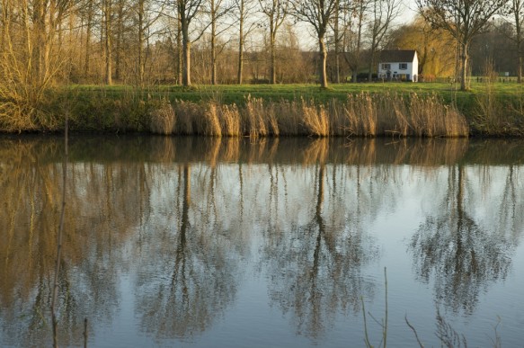 Bovenschelde