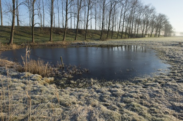 Barbarapolderdijk te Watervliet.