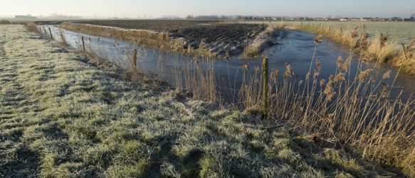 Barbarabeek in de Sint-Barbarapolder te Watervliet.