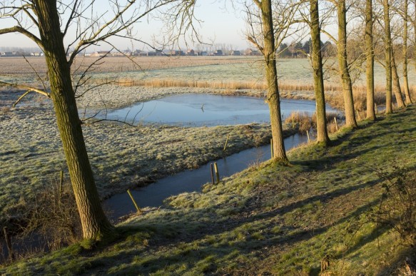 Barabarapolderdijk te Watervliet.