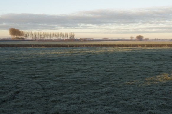 Brandkreekpolder