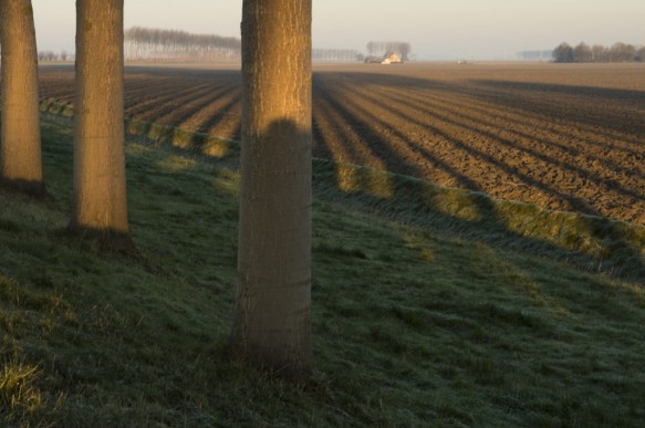 Blekkersdijk en Sint-Barbarapolder.