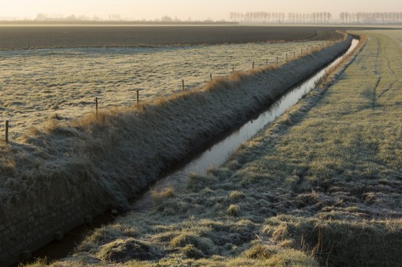 Polder in de winter te Watervliet.